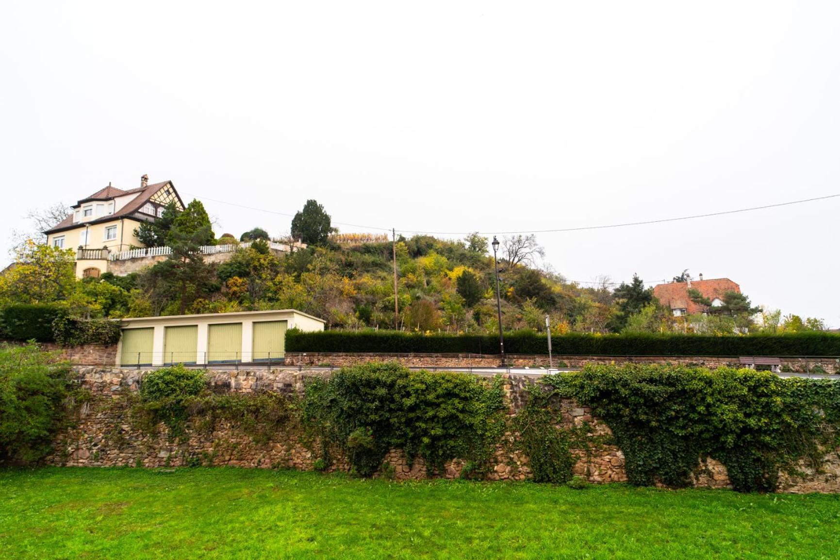 Refuge Des Vignerons - Turckheim Daire Dış mekan fotoğraf