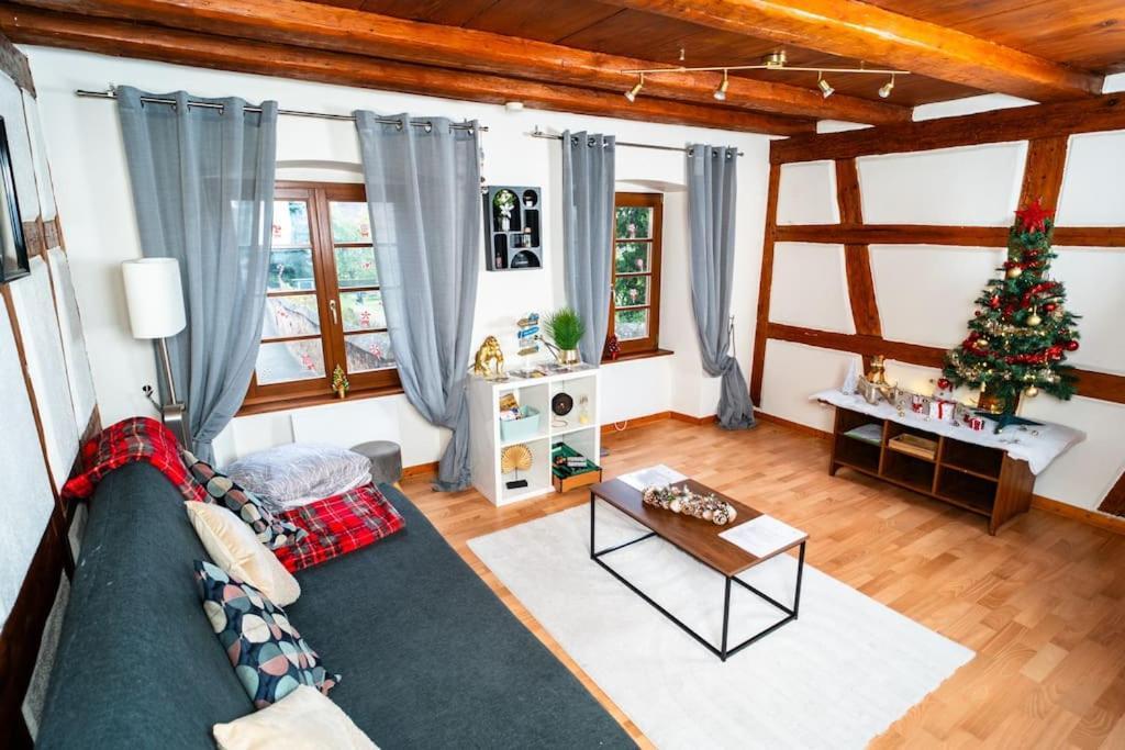 Refuge Des Vignerons - Turckheim Daire Dış mekan fotoğraf