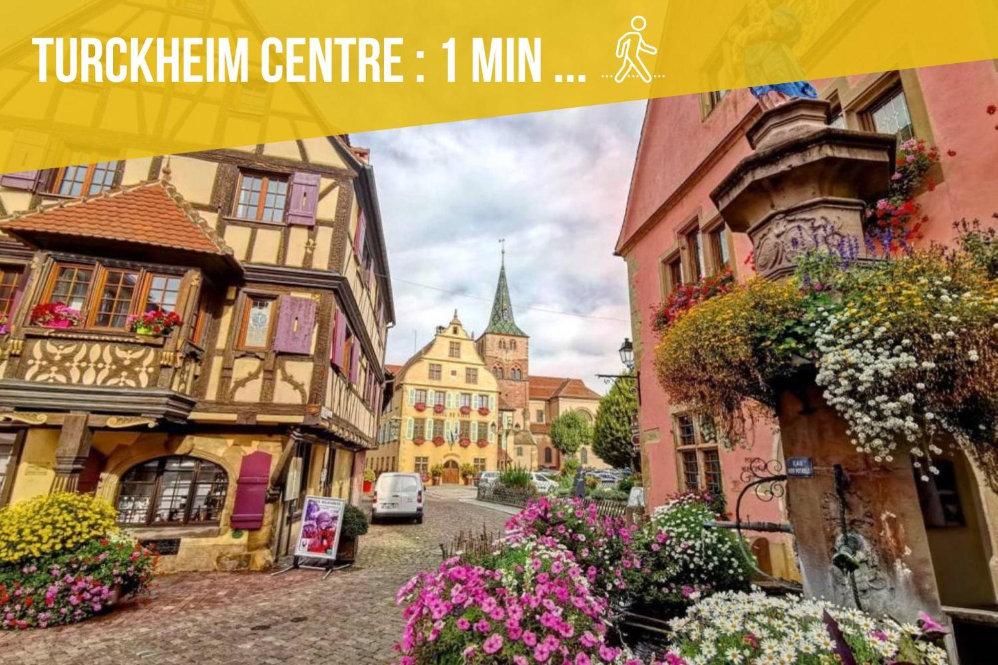 Refuge Des Vignerons - Turckheim Daire Dış mekan fotoğraf